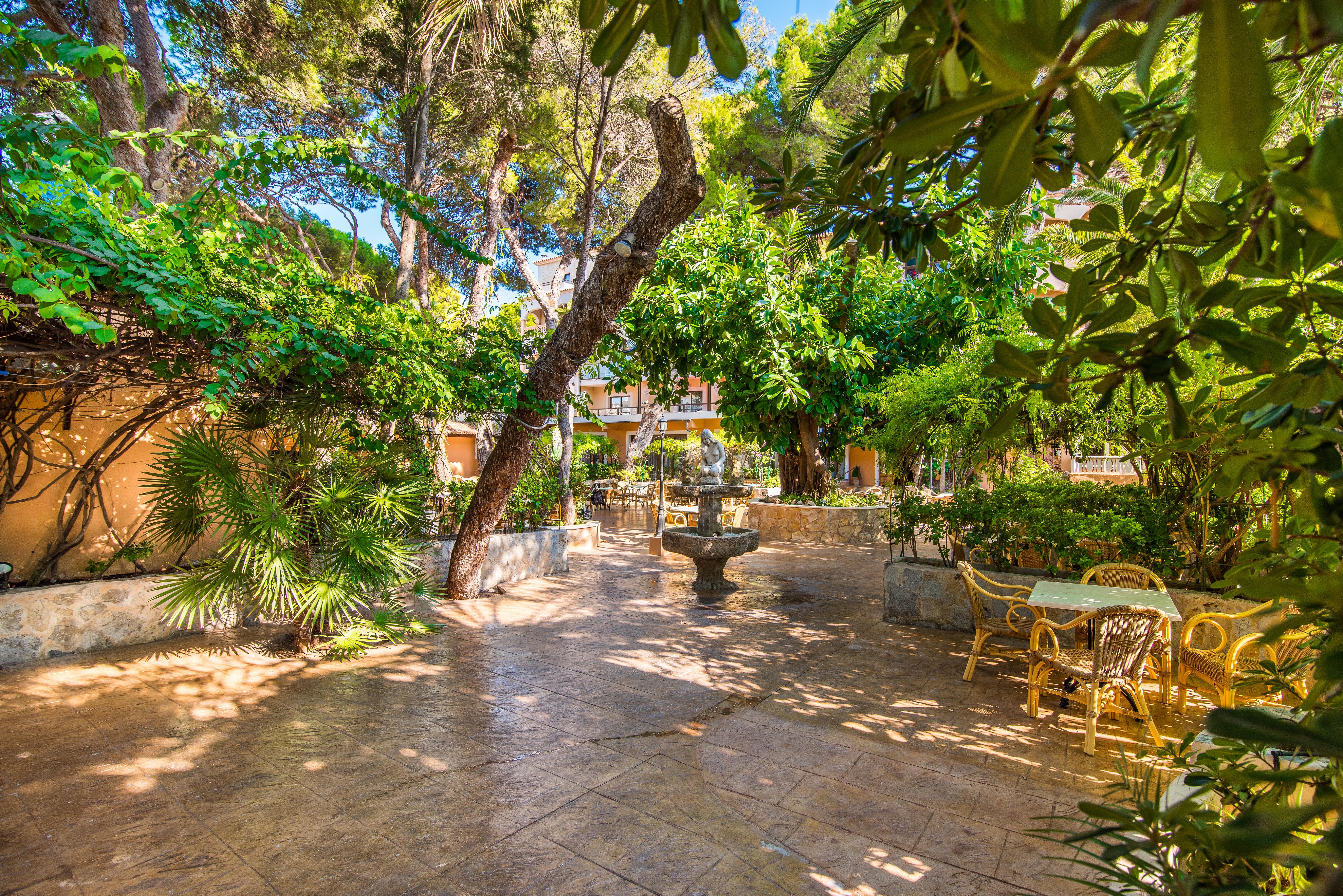 Hotel Baviera Cala Ratjada  Εξωτερικό φωτογραφία
